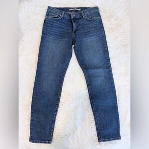 Hudson Jeans Dark Blue Skinny Women's Jeans